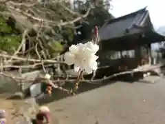 立志神社の自然