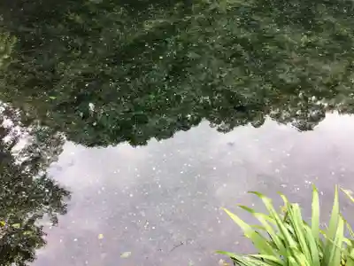 富士山本宮浅間大社(静岡県)