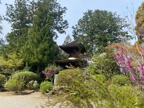 久米寺(奈良県)