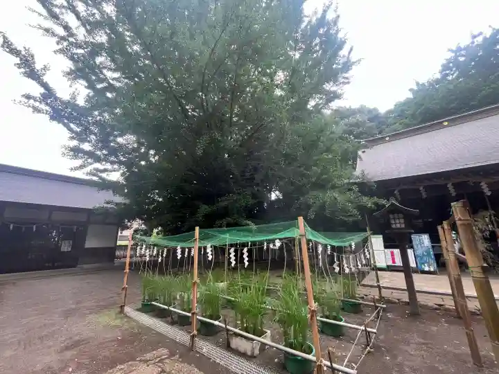 小平神明宮(東京都)