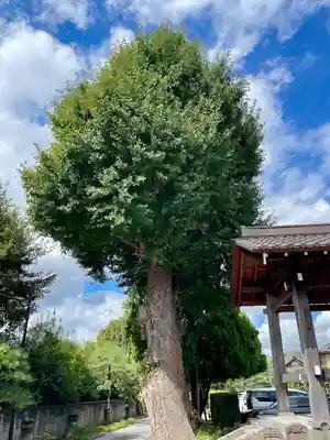 真勝院(東京都)