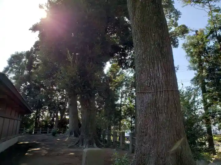 鶴峯八幡宮のその他建物