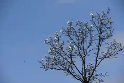 大鏑神社の周辺