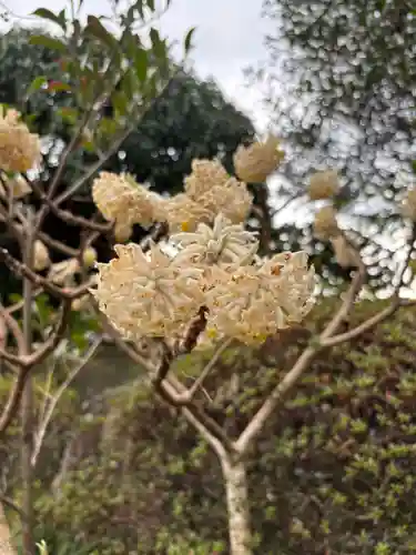 和田寺(兵庫県)
