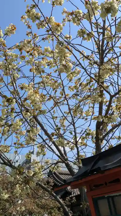 六孫王神社(京都府)