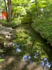 賀茂御祖神社（下鴨神社）の庭園