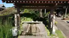 妙蓮寺の手水