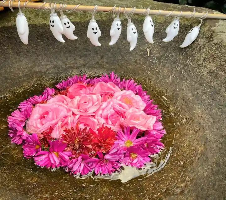 真言宗 善通寺派 薬王寺(香川県)