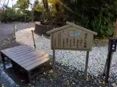 玉前神社の建物その他