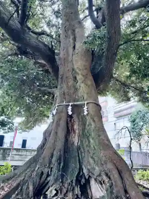 音無神社(静岡県)
