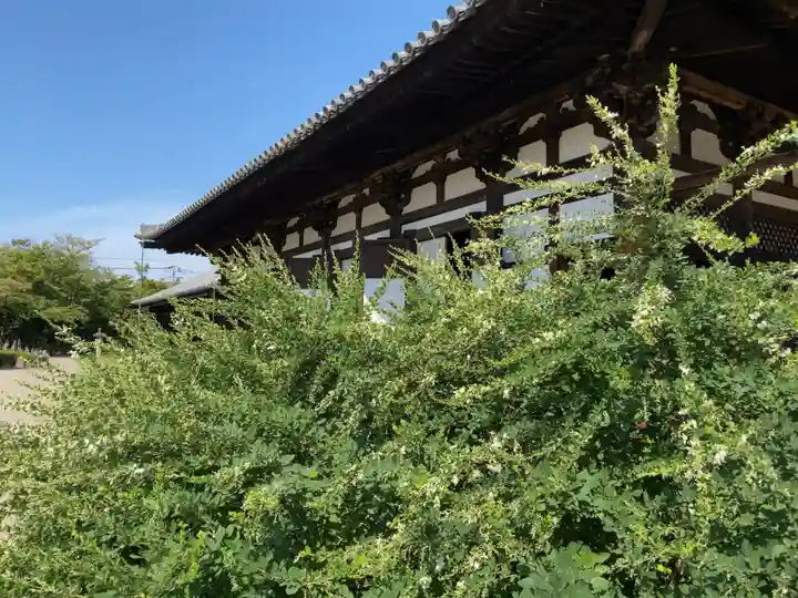 元興寺の本殿・本堂