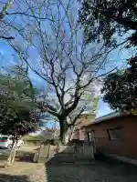 山の神(三重県)