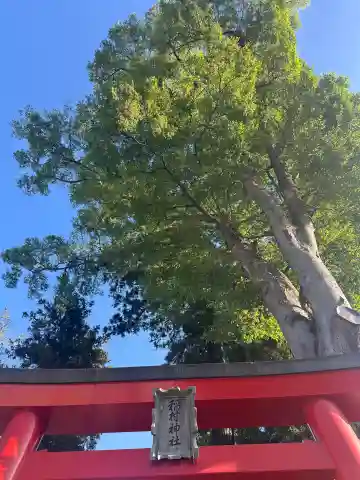稲村神社(山梨県)