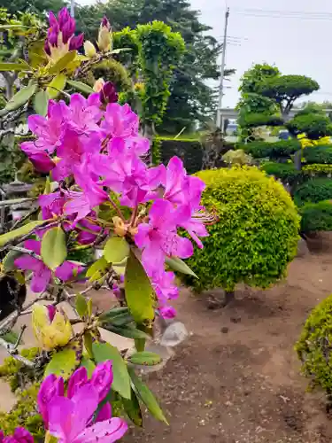 伏木香取神社の庭園