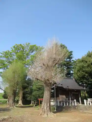 日枝神社(千葉県)