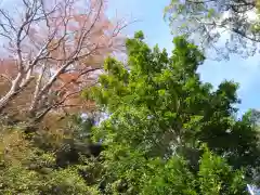 賀多神社の自然