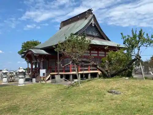 勝覚寺の本殿・本堂