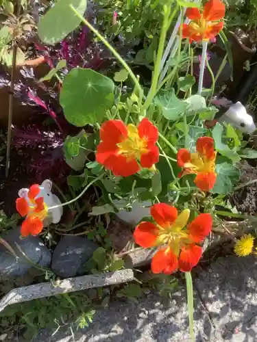 三輪神社の自然