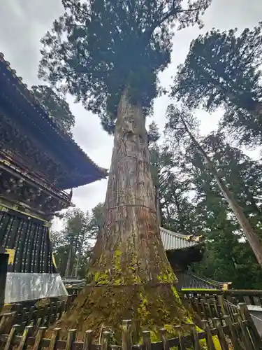 日光東照宮(栃木県)