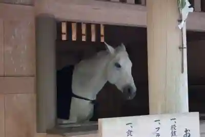 伊勢神宮外宮(豊受大神宮)(三重県)