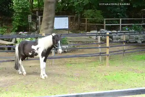 平塚八幡宮(神奈川県)