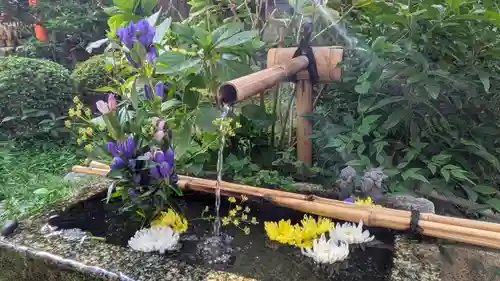 宝蔵寺(京都府)