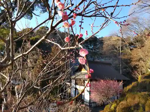 海禅寺の庭園