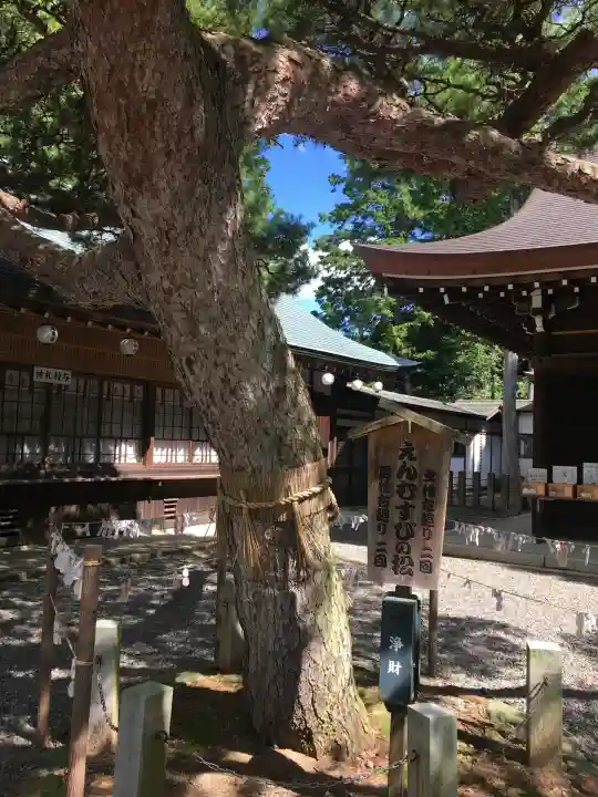 尾張冨士大宮浅間神社(愛知県)