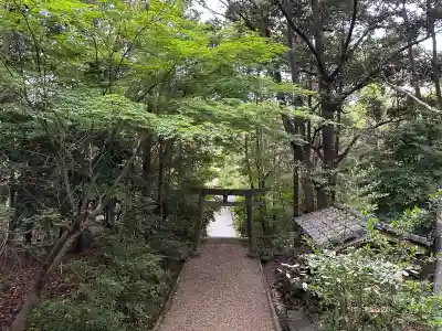 荒木神社の庭園