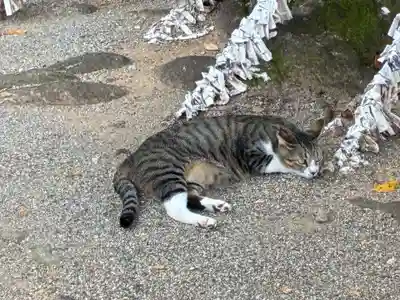 王子神社(徳島県)