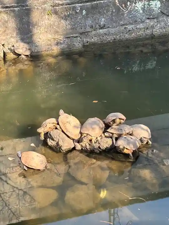 磐井神社(東京都)
