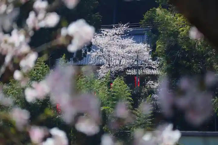 牟禮山観音禅寺(滋賀県)