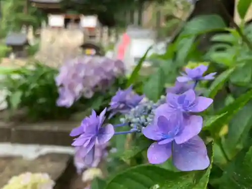 長谷寺(長野県)