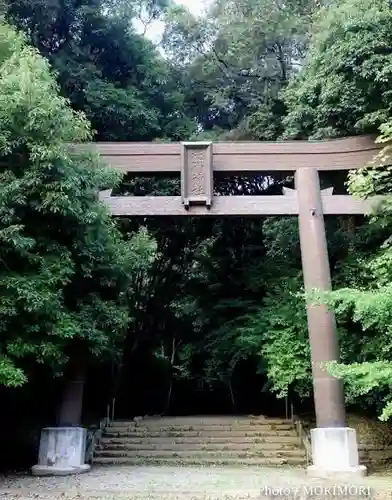 槵觸神社の鳥居