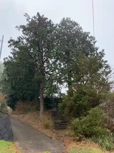 白山神社の自然