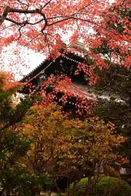 安楽寺(京都府)