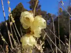 清水寺の自然