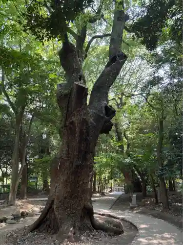 生田神社(兵庫県)