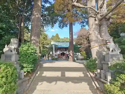 比々多神社(神奈川県)