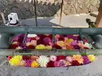 岡寺(龍蓋寺)(奈良県)