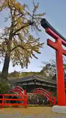 賀茂御祖神社（下鴨神社）の庭園