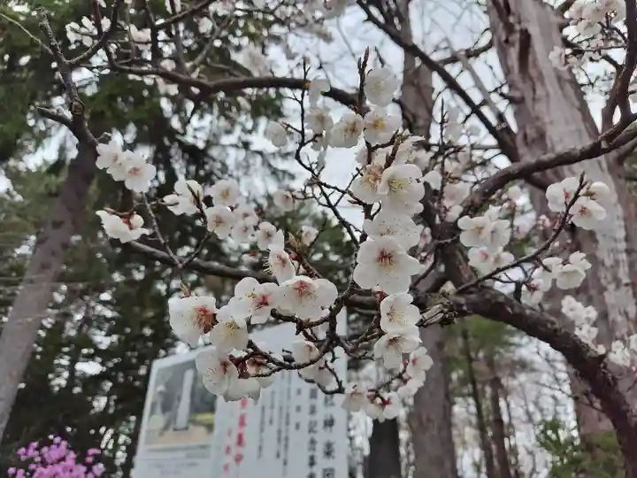 上川神社の自然