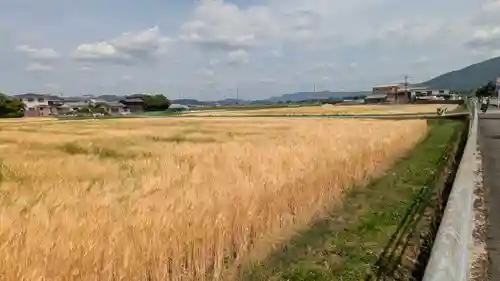 丹波国分尼寺跡（御上人林廃寺）(京都府)