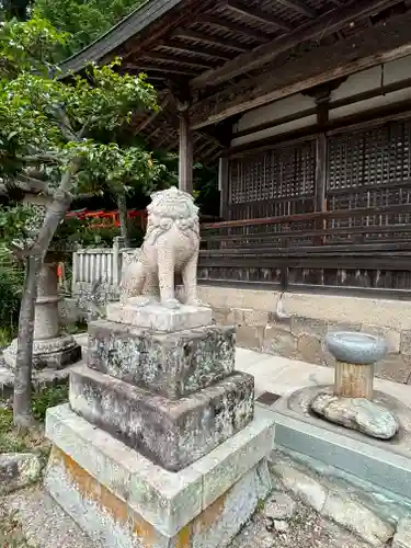 一之宮神社の狛犬