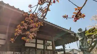 墨染寺（桜寺）(京都府)