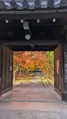 興聖寺(京都府)