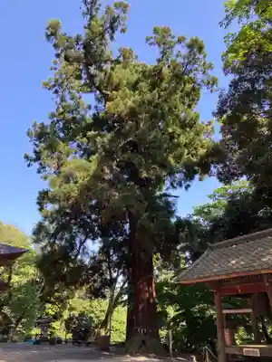 宝樹院小山寺(茨城県)