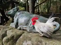 石上神宮の狛犬