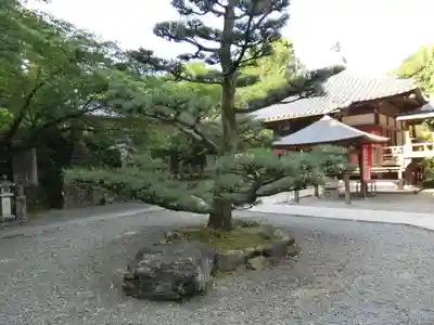 大興寺(香川県)