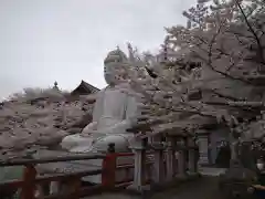 南法華寺（壷阪寺）の仏像